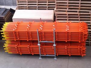 Scaffold
